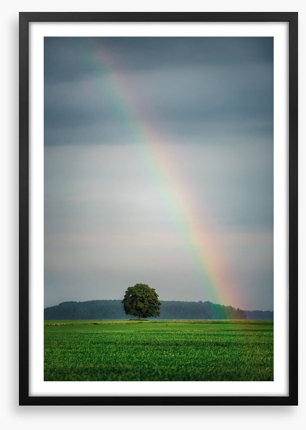 Rainbows