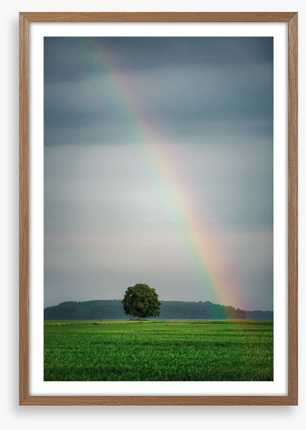 Rainbows