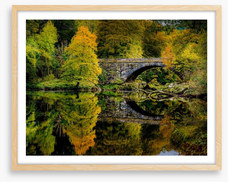 Reflecting on fall