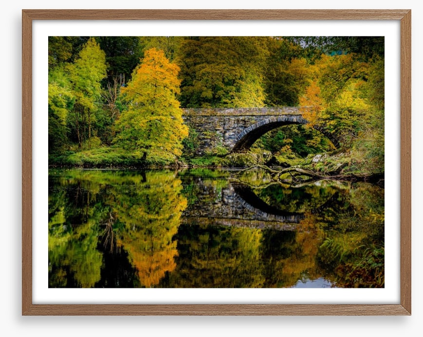 Reflecting on fall