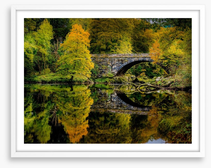 Reflecting on fall