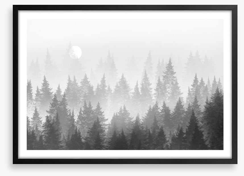 Shadow forest