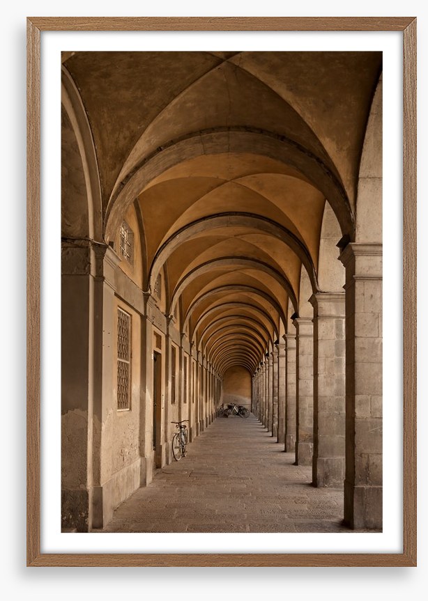 Colonnade of curves