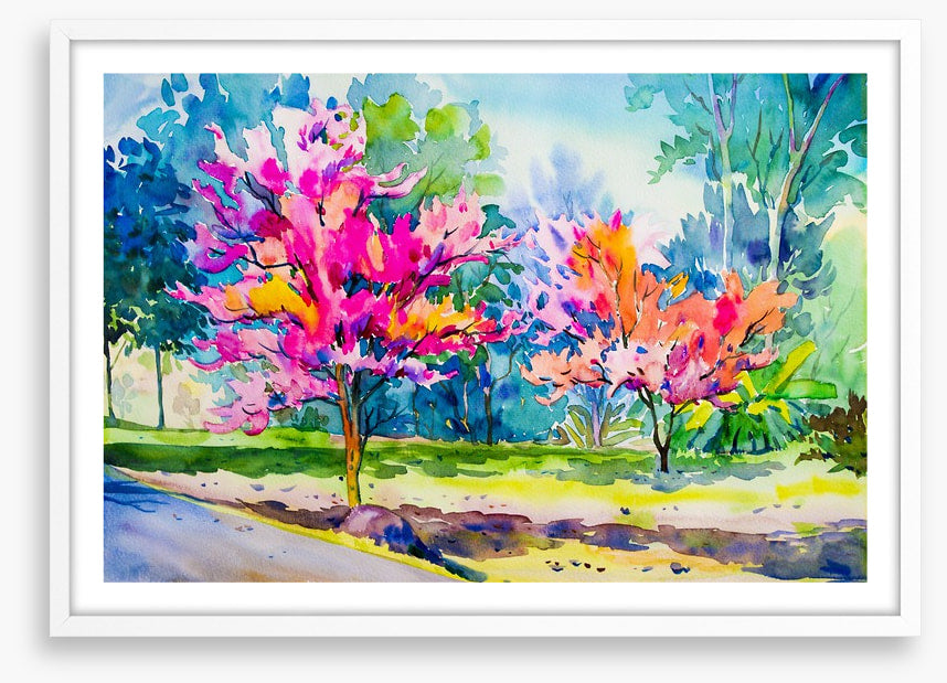 The cherry blossom lane