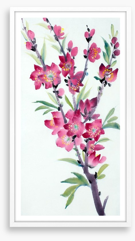 Pink peach blossom