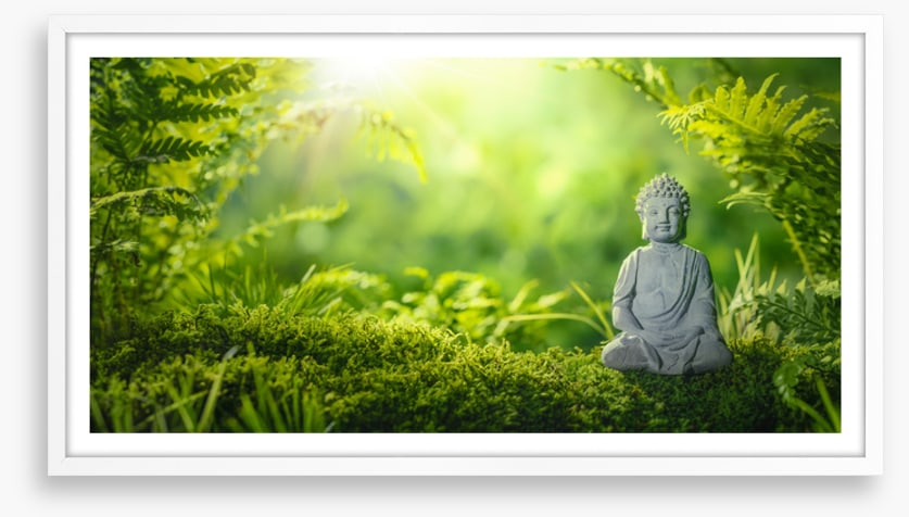 Meditation in the moss