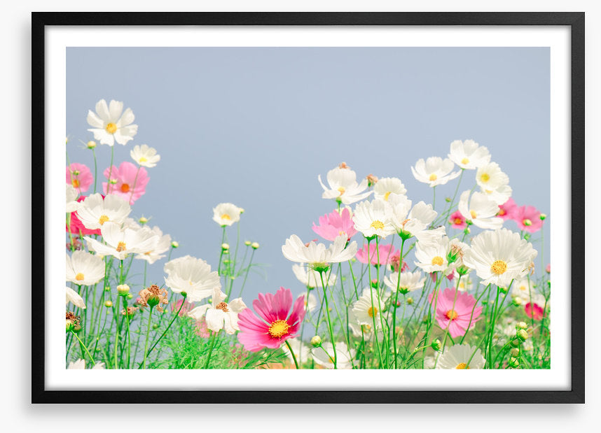 Blue sky cosmos