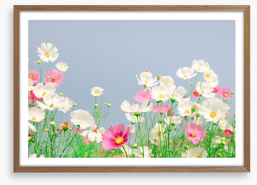 Blue sky cosmos
