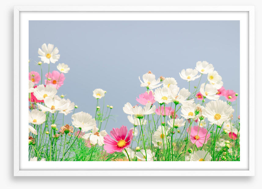Blue sky cosmos