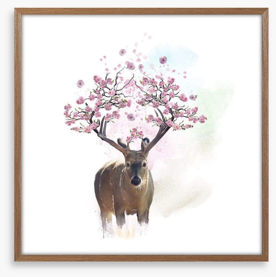 Spring deer