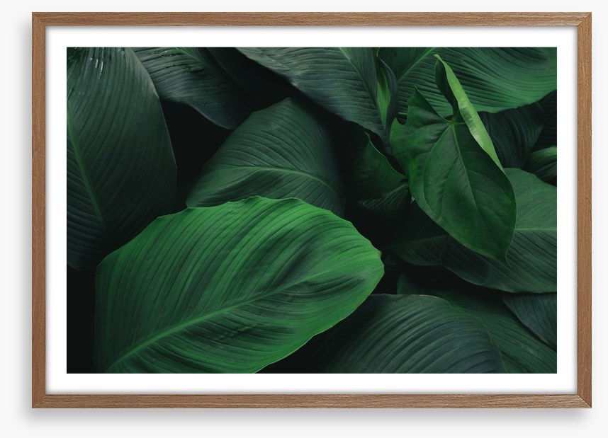 Leafy greens