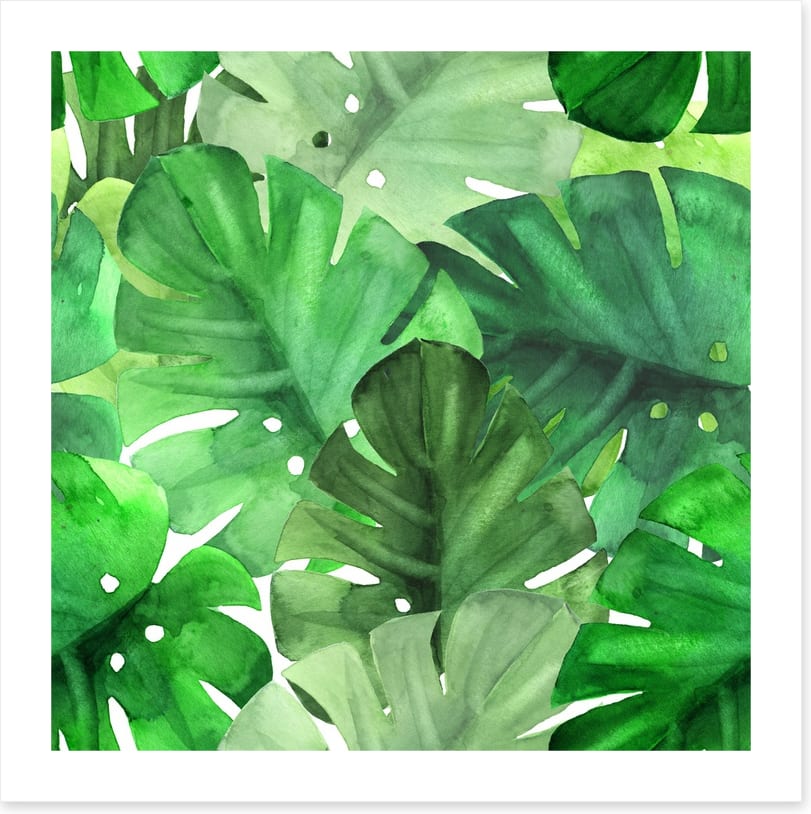 Watercolour