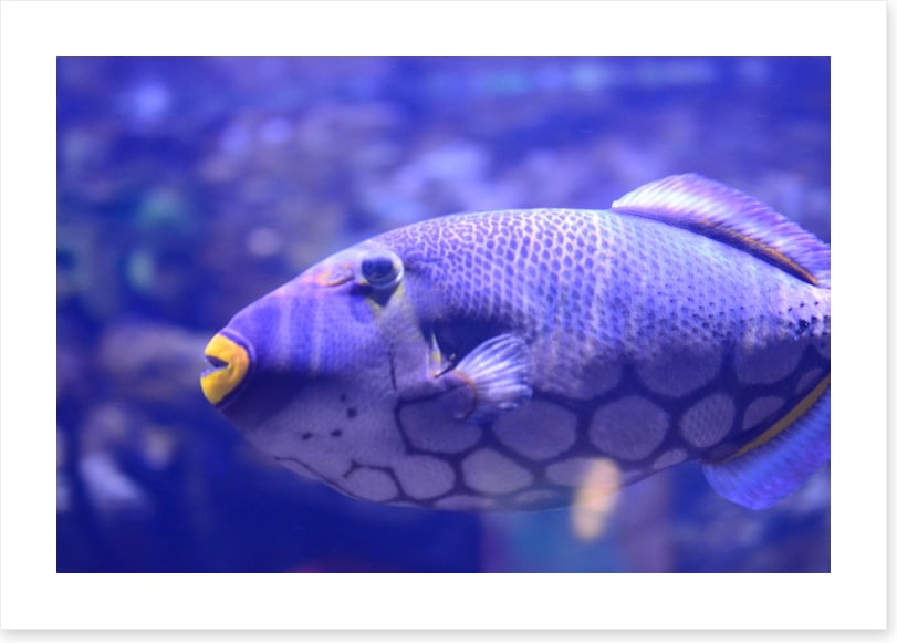 Wearing yellow lipstick