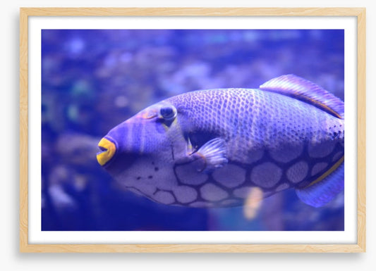 Wearing yellow lipstick