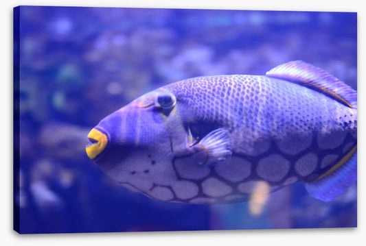 Wearing yellow lipstick