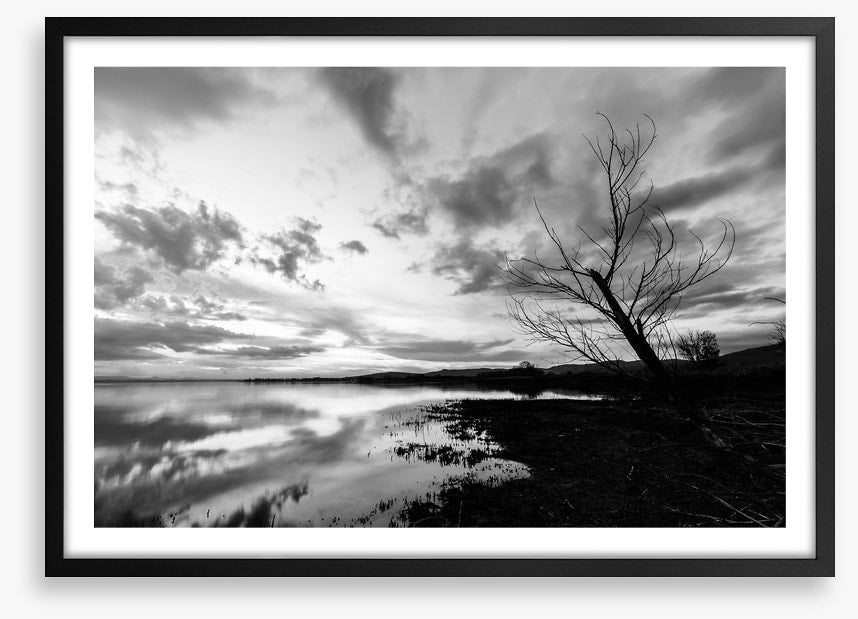 Drawn towards dawn