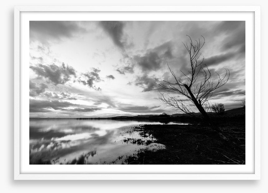 Drawn towards dawn