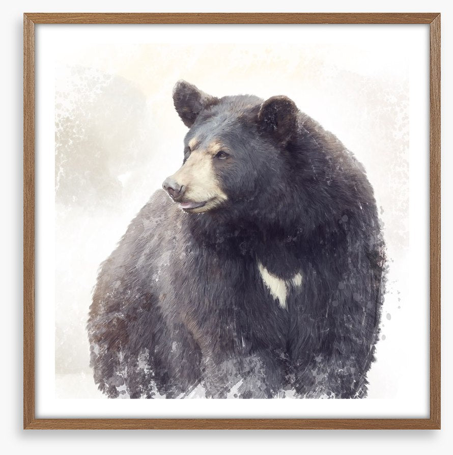 The black bear