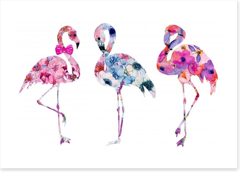 Floral flamingos