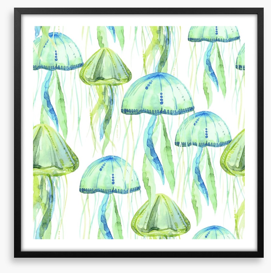 Jellyfish flotilla