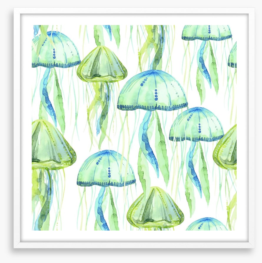 Jellyfish flotilla