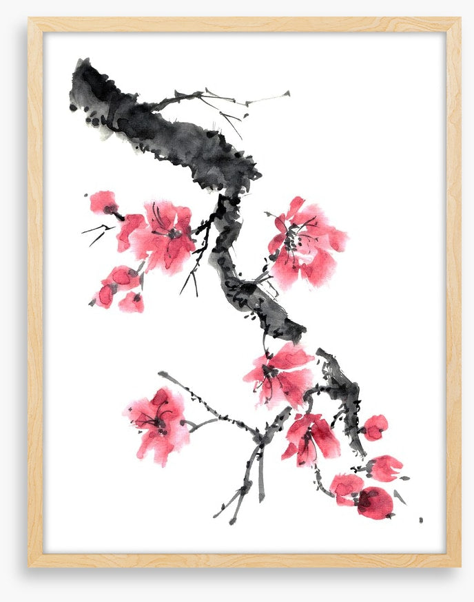 Apple blossom branch