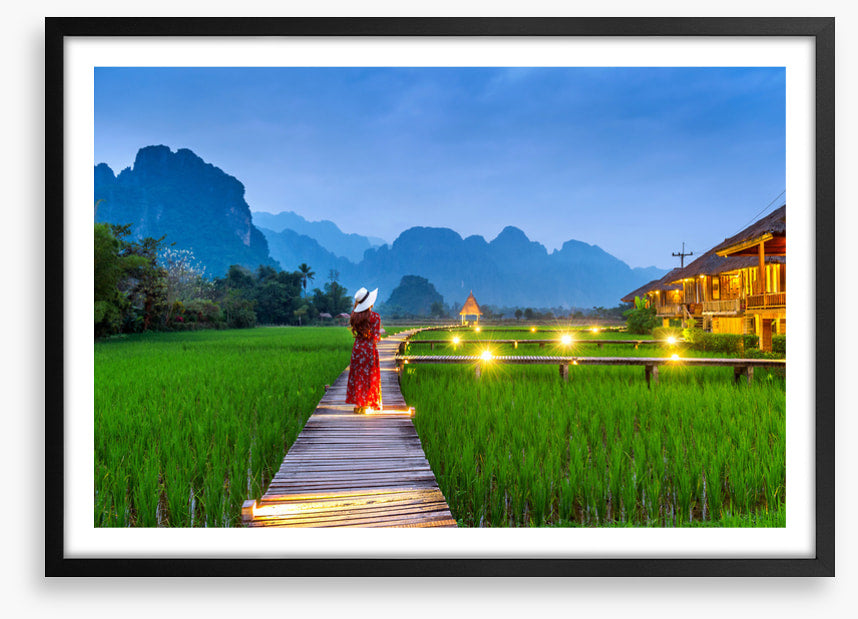 Path through the paddy