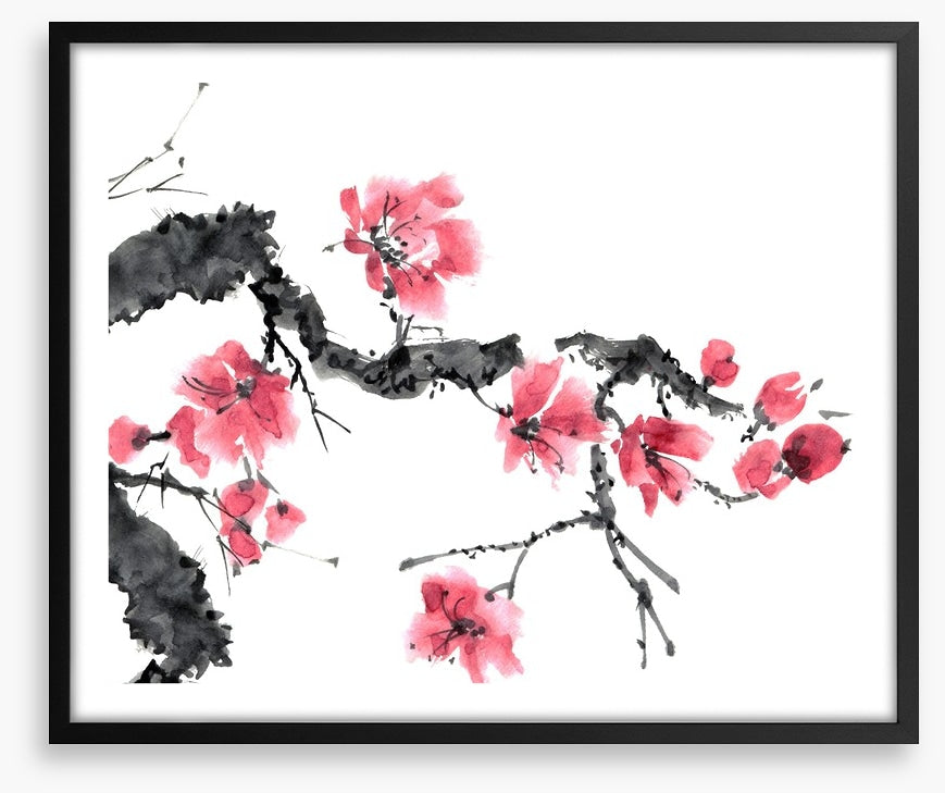 Apple blossom bloom
