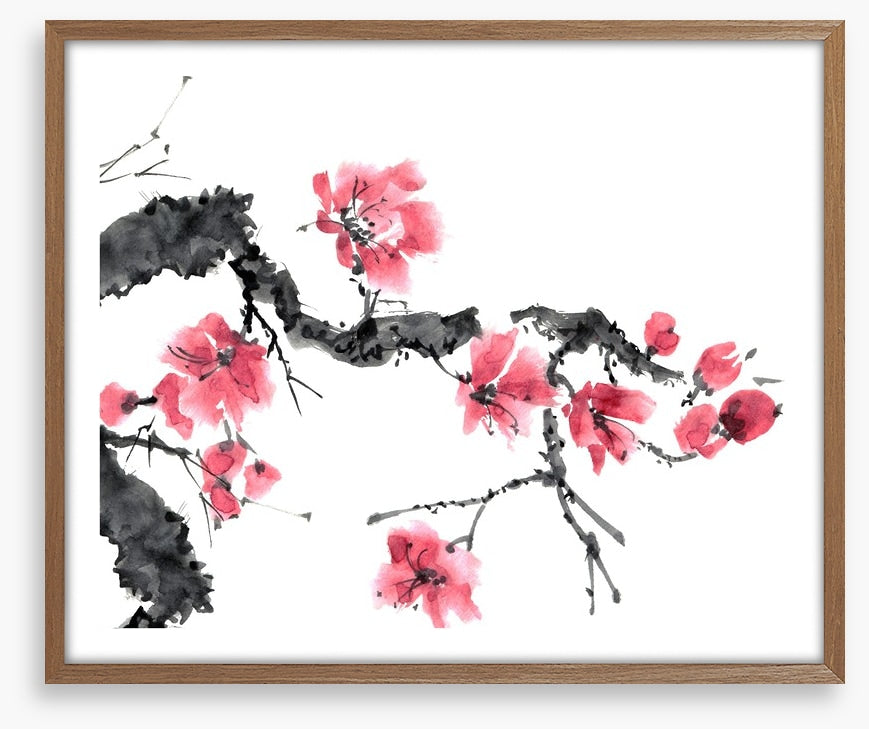 Apple blossom bloom