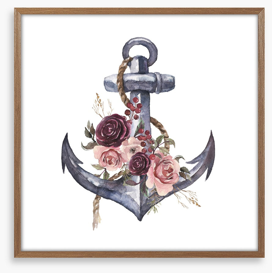 Rosy anchor