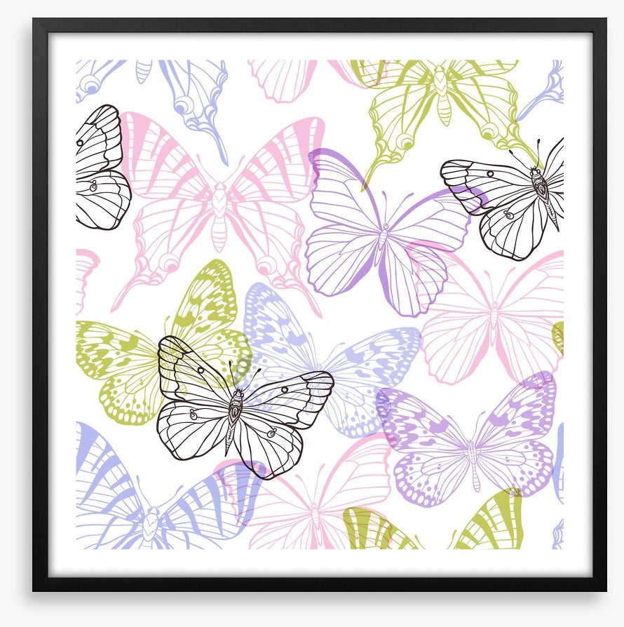 Butterflies