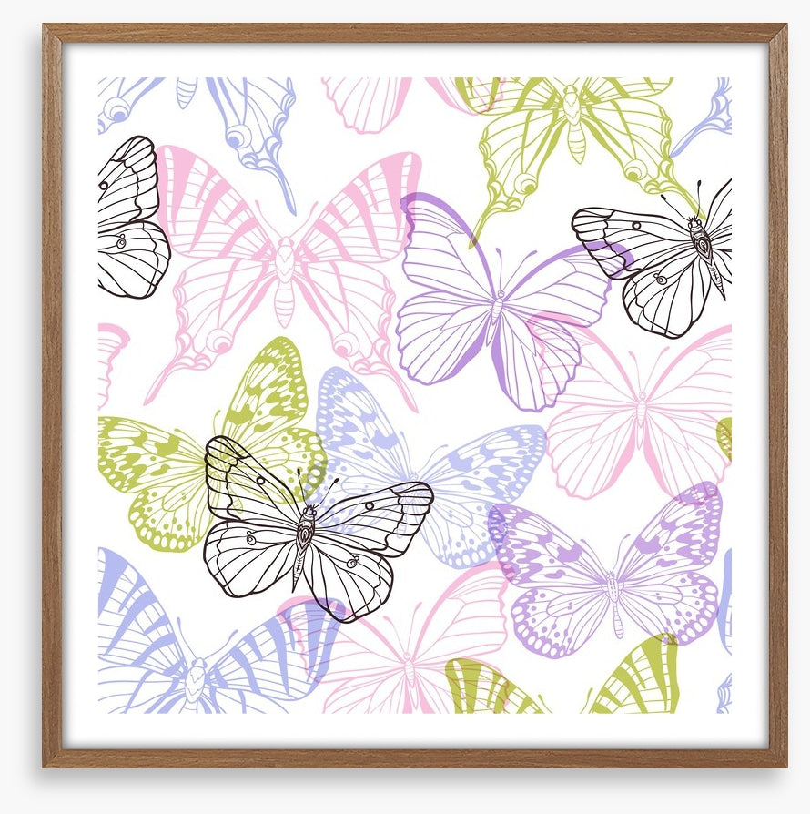 Butterflies