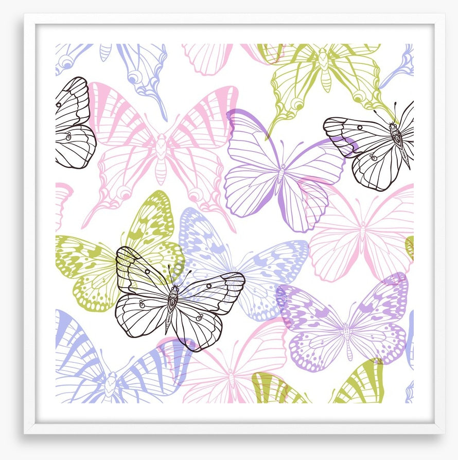 Butterflies