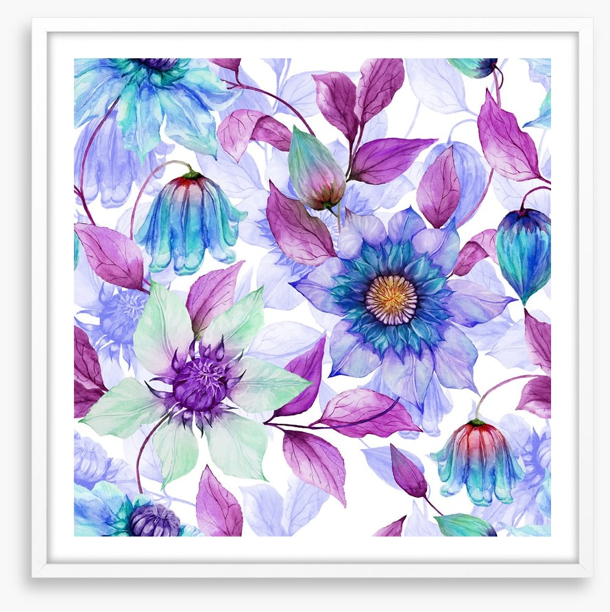 Creeping clematis