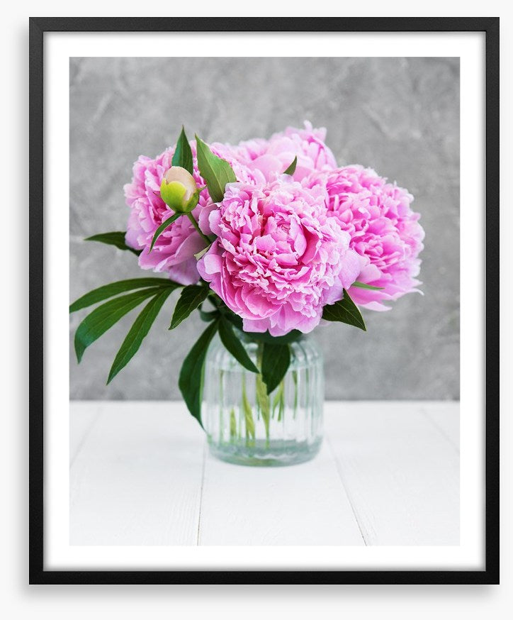 Peony pretty