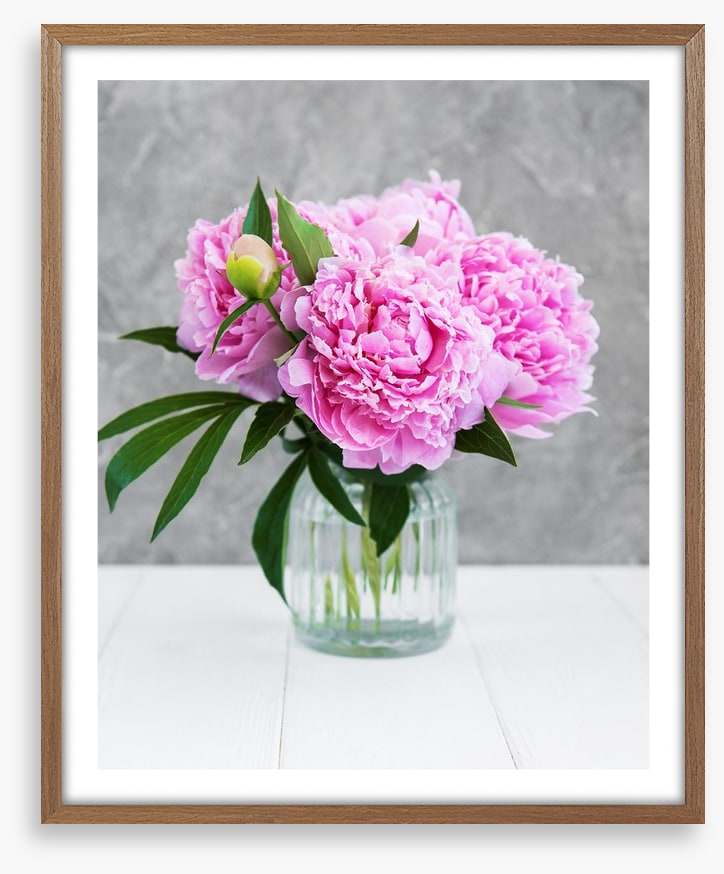 Peony pretty