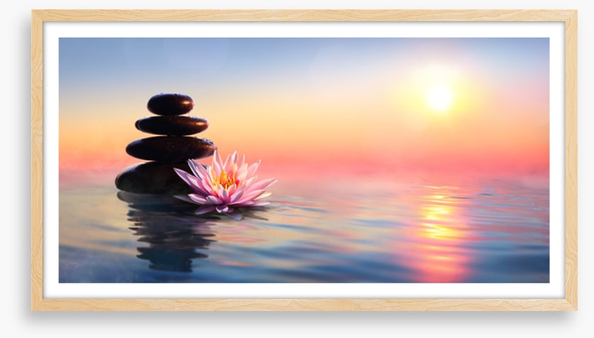 Waterlily sunset