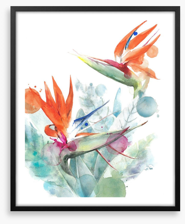Paradise splash