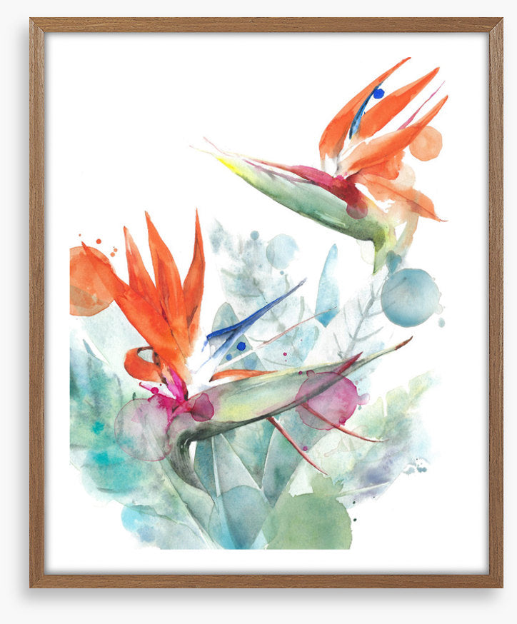 Paradise splash