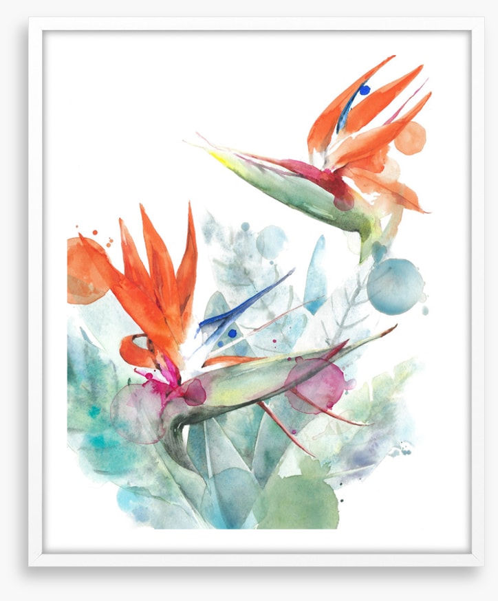 Paradise splash