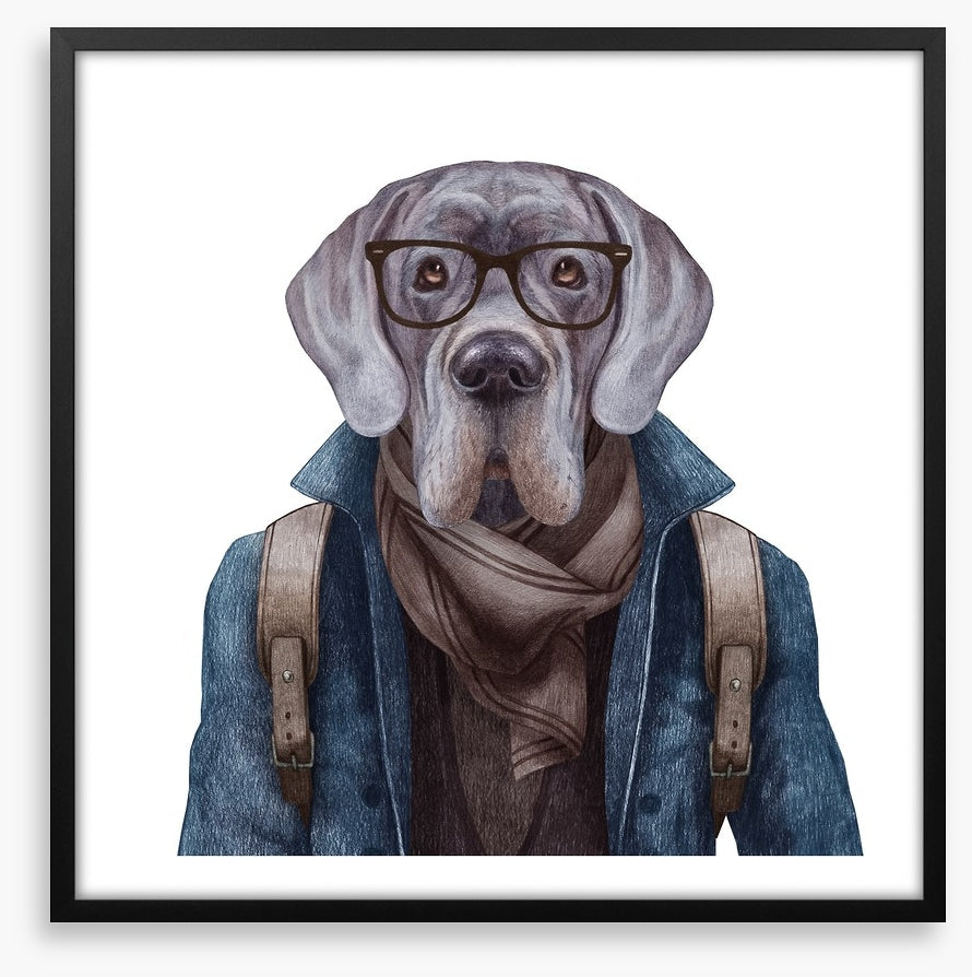 Hipster hound