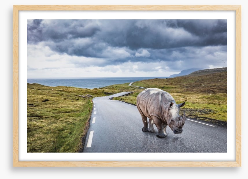 The lonely road