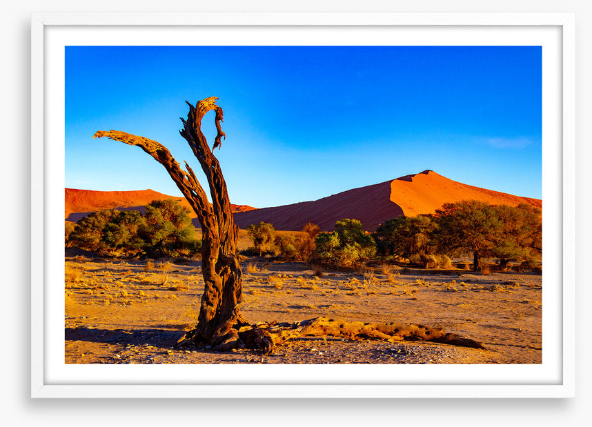 Desert