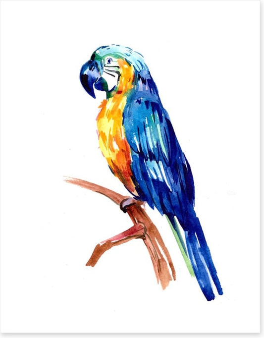 Tropical parrot perch