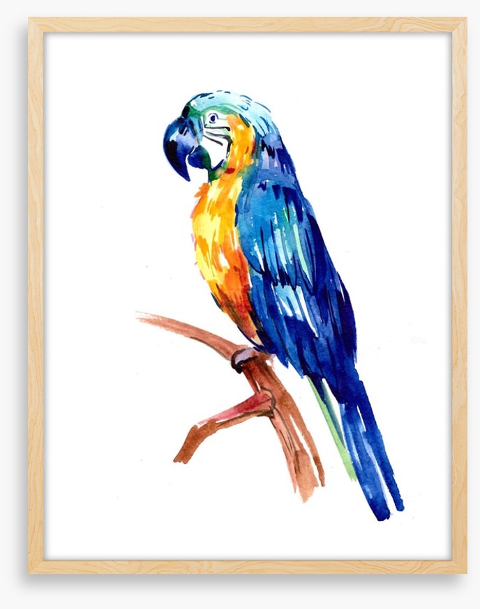 Tropical parrot perch