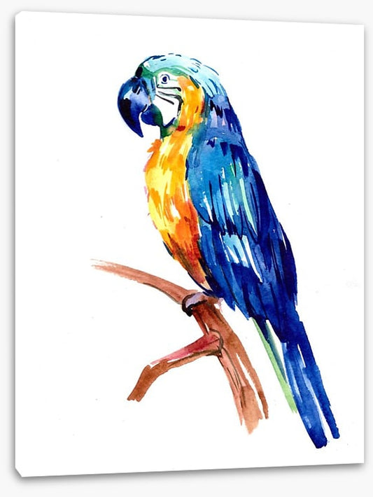 Tropical parrot perch