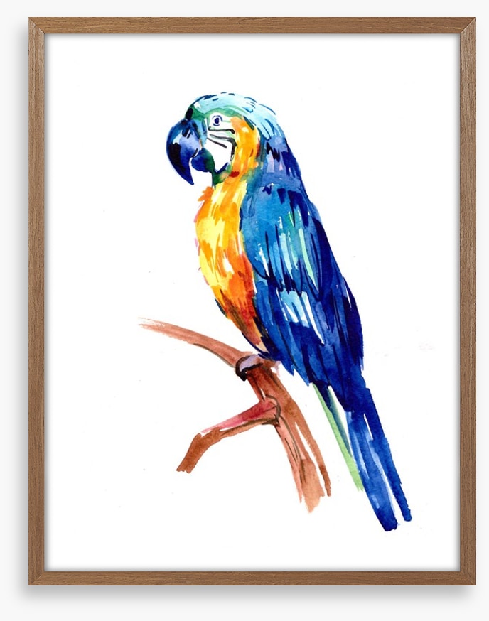 Tropical parrot perch