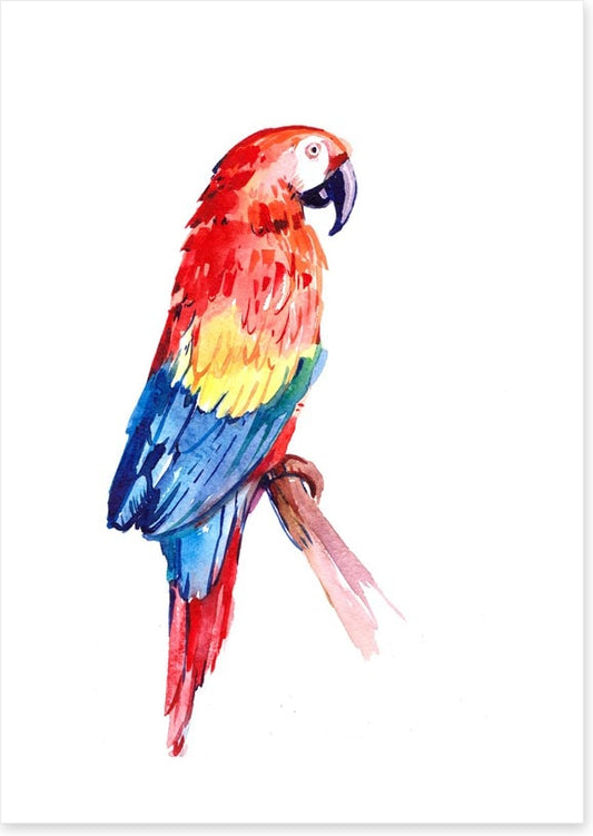 Paradise parrot perch