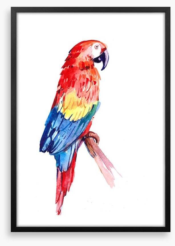 Paradise parrot perch