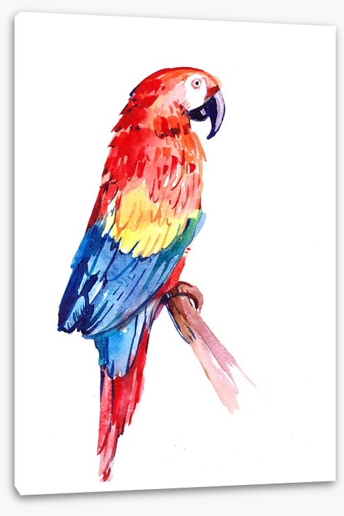 Paradise parrot perch